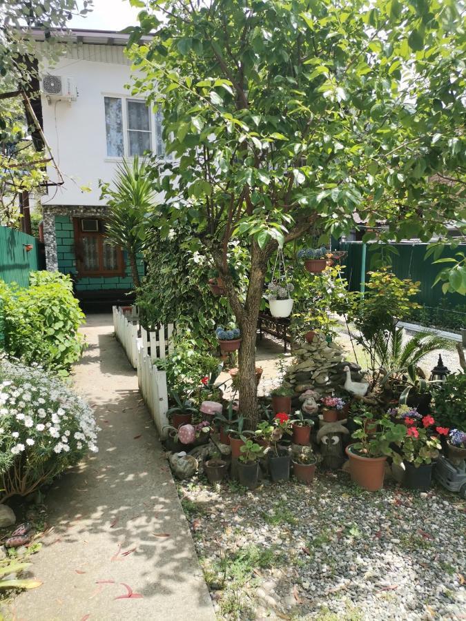 Гостевой Дом В Гаграх"Море Солнца" Gagra Exterior foto